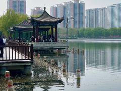 -莲花池公园