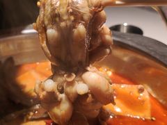 -宽口美蛙鱼头(大唐西市店)