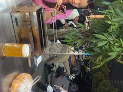 -7只羊·鲜羊肉串·地锅鸡精酿(玄武墨香路店)