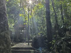 -七仙岭温泉国家森林公园