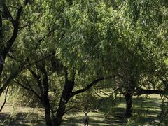 -北京麋鹿生态实验中心