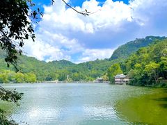 -黔灵山公园