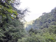 -西岭雪山大飞水景区