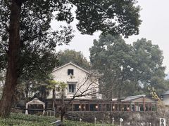 -野蔓果·山野菜(西湖景区·龙井茶田店)