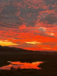 -西安现代妇产医院医疗美容