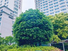 -兰溪青年公园