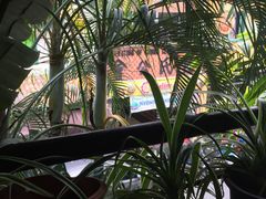 -地理学家咖啡馆