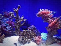 -上海海洋水族馆-停车场