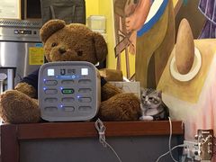 -咖法森林·咖啡  酒吧(天河店)