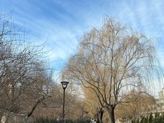 -元大都城垣遗址公园