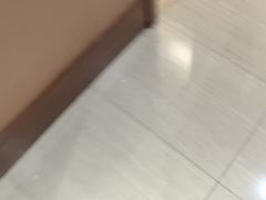 -豪廷轩中餐厅·特色云南菜(温德姆至尊豪廷大酒店)