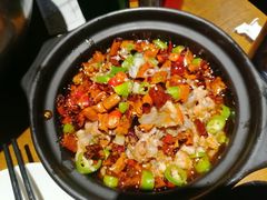 跳跳蛙-付小姐在成都(五道口店)