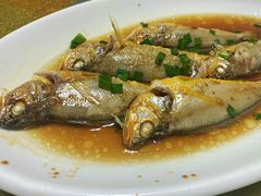 清蒸小黄鱼-文仔海鲜馆