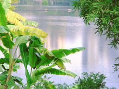 -重庆彩云湖湿地公园