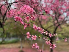 -白塘生态植物园