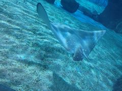 -北戴河圣蓝海洋公园