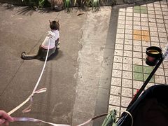 -安安宠医·臻爱宠物医院·宠保定点(营门口路分院)