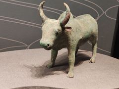 -广西壮族自治区博物馆