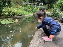 -晓港公园