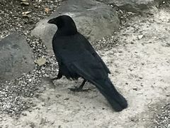-热田神宫