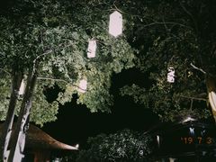 -Rimpa Lapin悬崖餐厅