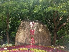 -野狸岛