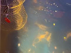 -钳真多钓虾馆·小龙虾海鲜烧烤(九六广场店)