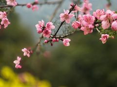 -篁岭景区