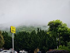 -朱家尖南沙景点