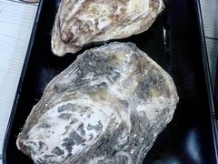 -大连海鲜斑鱼火锅(安平店)