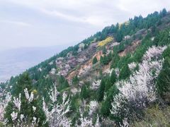-秦岭风景区
