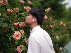 -亚龙湾国际玫瑰谷