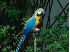 -石家庄市动物园