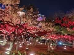 -绿茶餐厅(领展购物广场·中关村店)