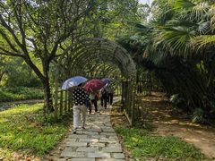 -南沙蒲洲花园
