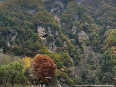 -秦岭终南山世界地质公园翠华山景区