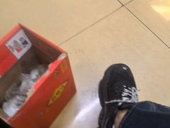 -大益烤鸡