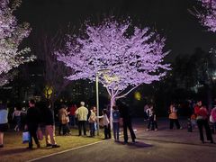 -西北湖绿化广场