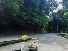 -圣淘沙天际线斜坡滑车