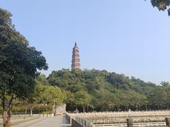 -顺峰山公园