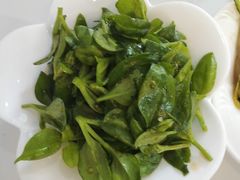 -惠丰堂饭庄(北洼路店)
