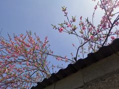 -会稽山峡洞漂流-上青古道