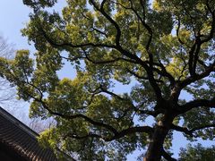 景点-惠山古镇·寄畅园