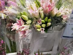 -盒马X会员店(上海森兰商都店)