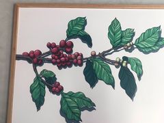 -瑞幸咖啡(南海万科广场店)