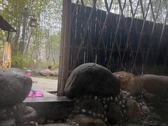 -咸宁万豪温泉谷度假区