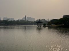 -江心屿景区