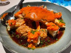 -三号黄浦会Canton Table