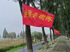 -洪湖生态旅游区