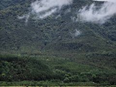 -腾冲北海湿地